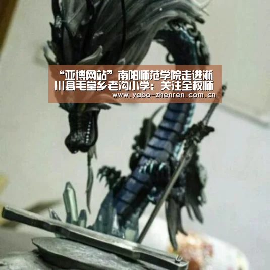 “亚博网站”南阳师范学院走进淅川县毛堂乡老沟小学:关注全校师生助力扶贫工作留倩影(图4) 亚博网站