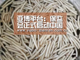 亚博网站