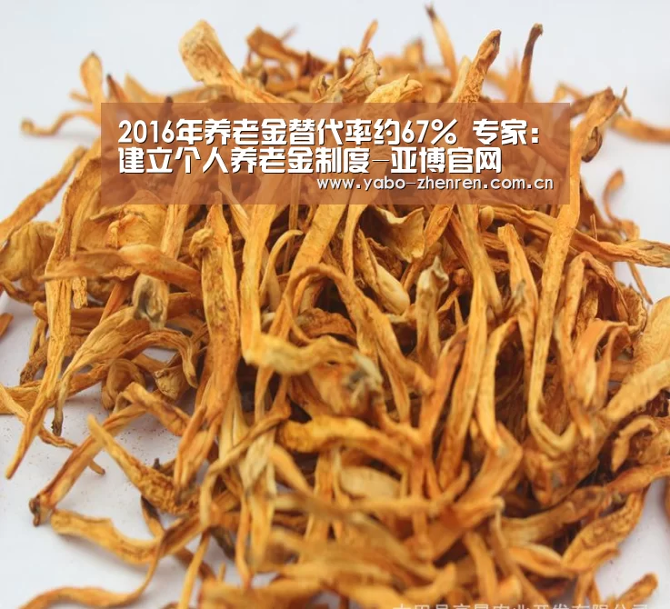 亚博官网