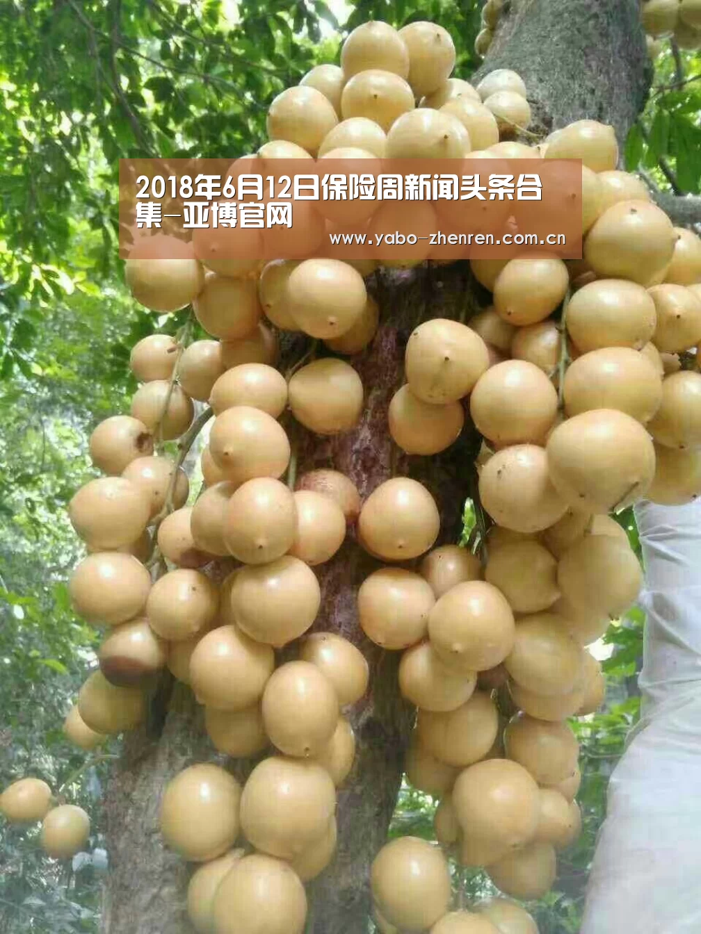 2018年6月12日保险周新闻头条合集-亚博官网(图1) 亚博平台