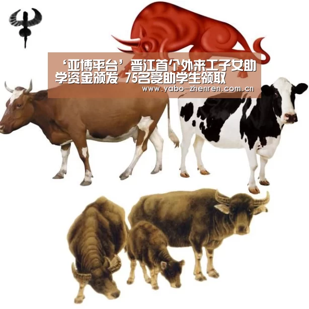 ‘亚博平台’晋江首个外来工子女助学资金颁发 75名受助学生领取(图4) 亚博网站