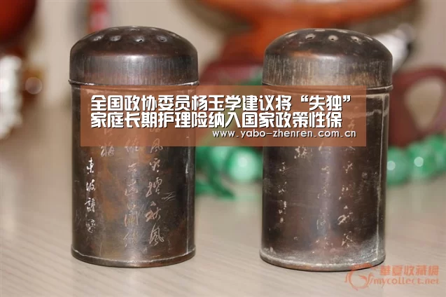 全国政协委员杨玉学建议将“失独”家庭长期护理险纳入国家政策性保险【亚博官网】(图4) 亚博平台