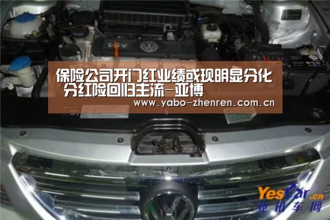 保险公司开门红业绩或现明显分化 分红险回归主流-亚博(图1) 亚博官网