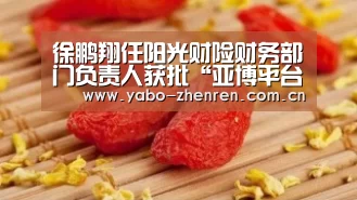 徐鹏翔任阳光财险财务部门负责人获批“亚博平台”